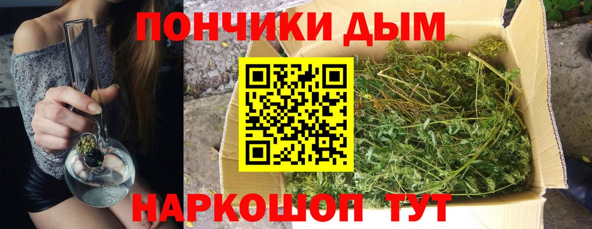 Конопля Amnesia Новомосковск
